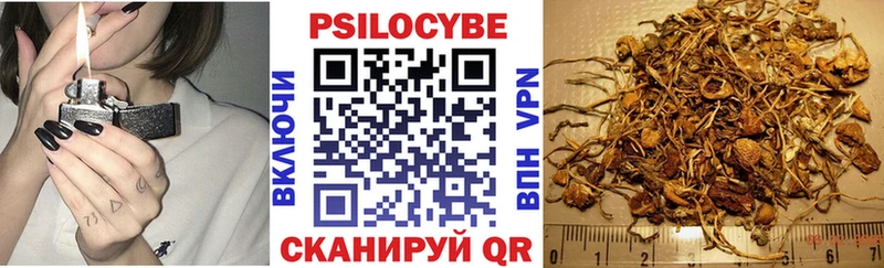 Псилоцибиновые грибы Psilocybe  Лихославль 